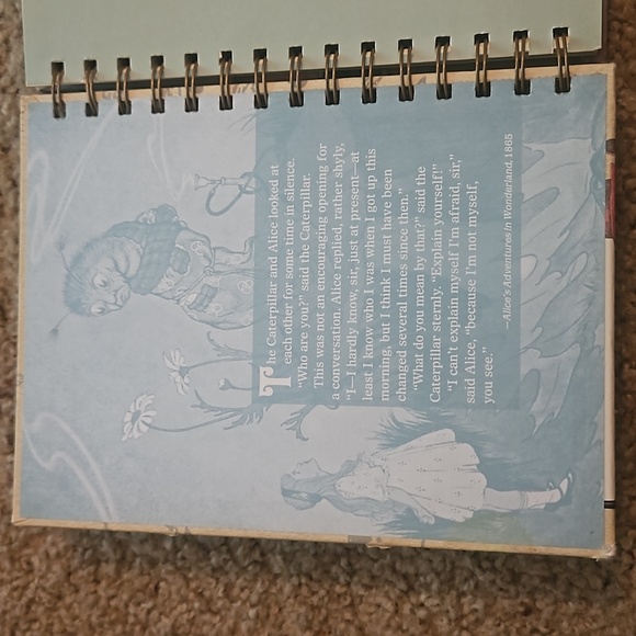 Alice in Wonderland notebook - Picture 3 of 14